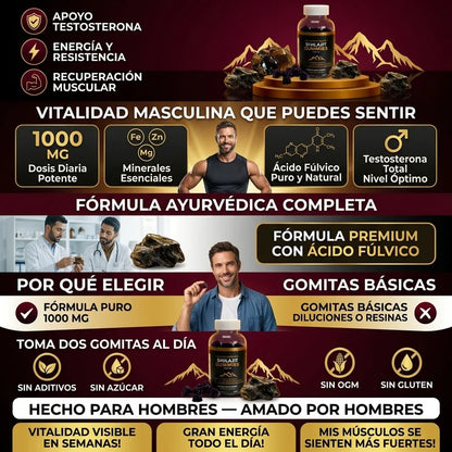 Golden Vitality Shilajit Gomas